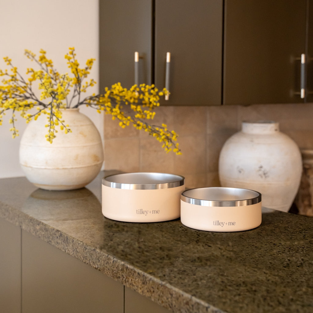 Tilley + Me Stainless Steel Pet Bowl - Elle Ere Peace