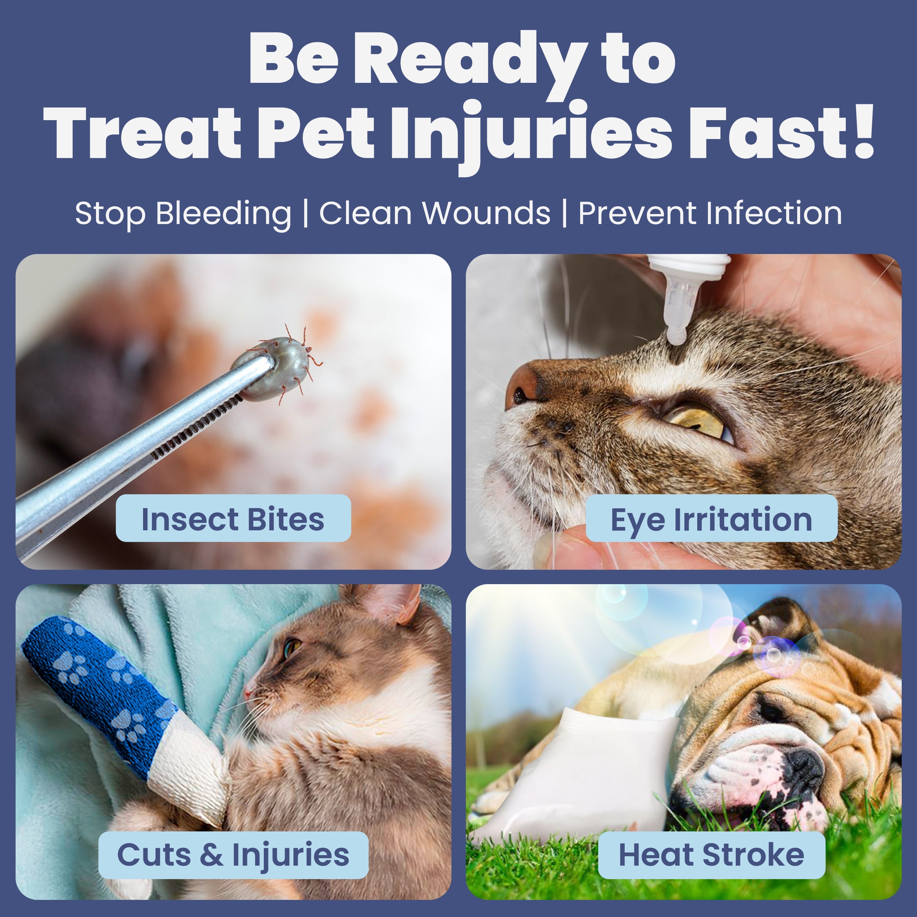 Pet First Aid Kit for Dogs & Cats with Vet-Approved Essentials - Elle Ere Peace