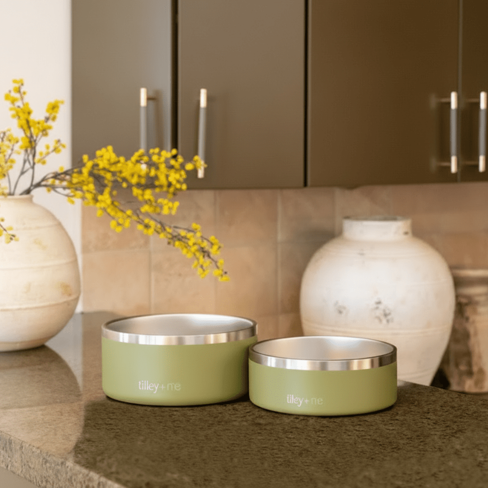 Tilley + Me Stainless Steel Pet Bowl - Elle Ere Peace