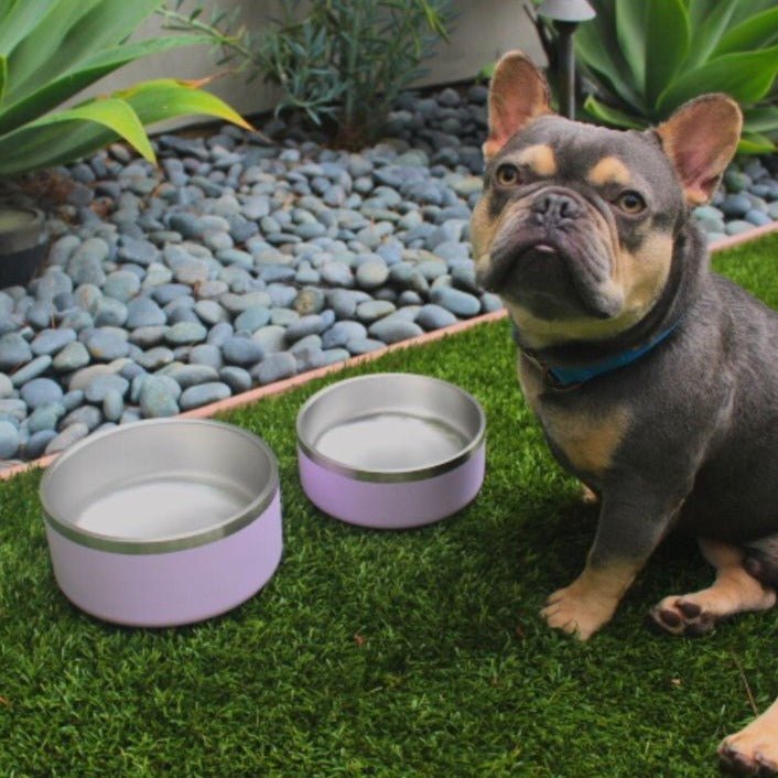 Tilley + Me Stainless Steel Pet Bowl - Elle Ere Peace