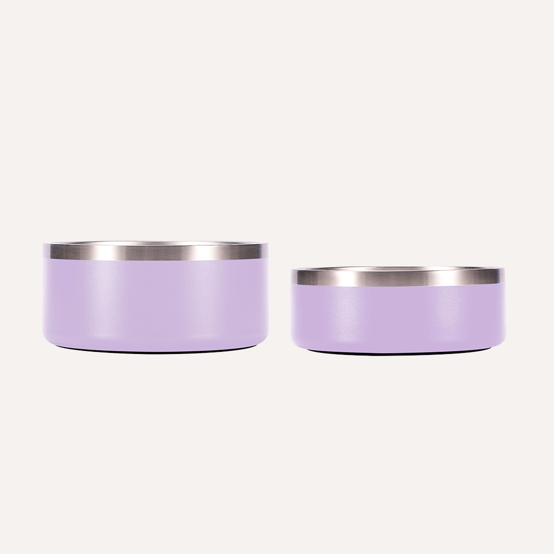Tilley + Me Stainless Steel Pet Bowl - Elle Ere Peace