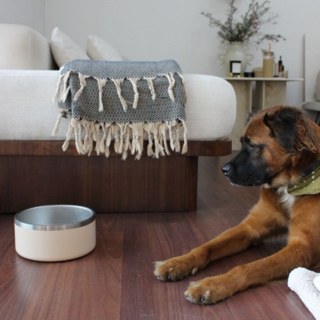 Tilley + Me Stainless Steel Pet Bowl - Elle Ere Peace